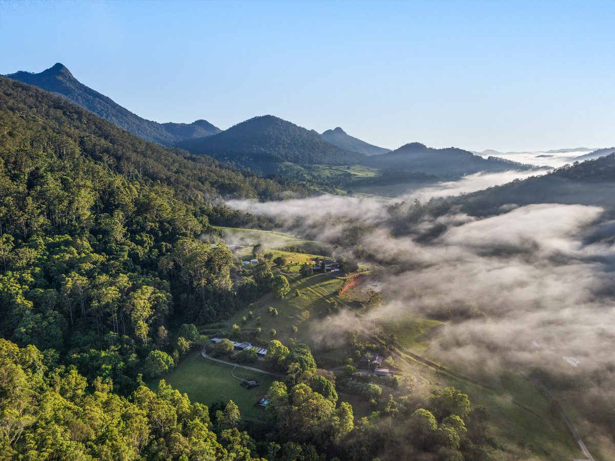 Morning mist over the rainforest valley at Evolve Sanctuary in the Byron hinterland
